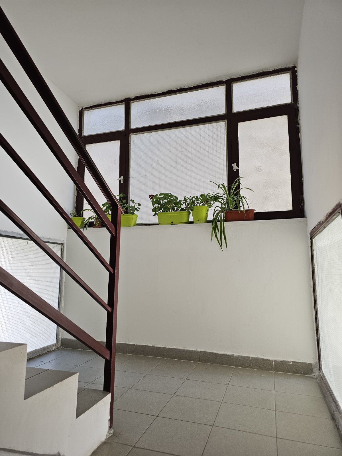 Dvosoban stan na prodaju, Telep, 118.450€, 44m²